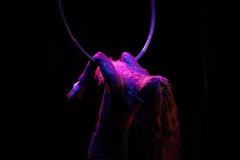 Photos. Stefano Forno