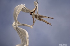 Elevation-La-Voliere-OM_92706222709202527092025