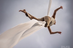 Elevation-La-Voliere-OM_92708872709202527092025