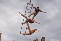 Elevation-La-Voliere-OM_92719462709202527092025