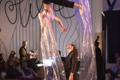 La Nuit du Cirque à La Volière