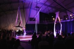 La Nuit du Cirque à La Volière