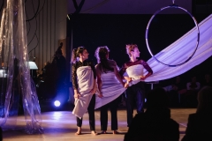La Nuit du Cirque à La Volière