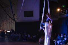 La Nuit du Cirque à La Volière