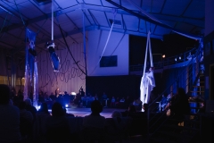 La Nuit du Cirque à La Volière