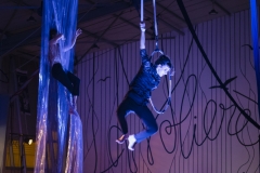 La Nuit du Cirque à La Volière