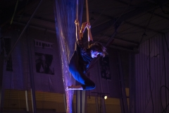 La Nuit du Cirque à La Volière