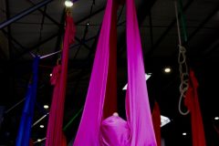 IMG_4957-1-scaled